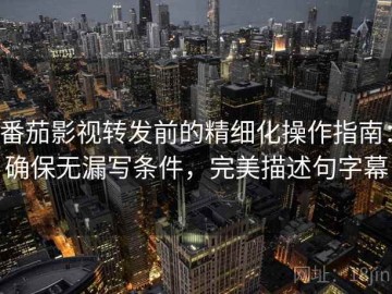 番茄影视转发前的精细化操作指南：确保无漏写条件，完美描述句字幕