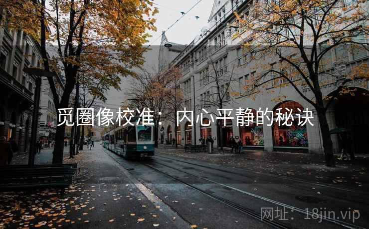 觅圈像校准：内心平静的秘诀