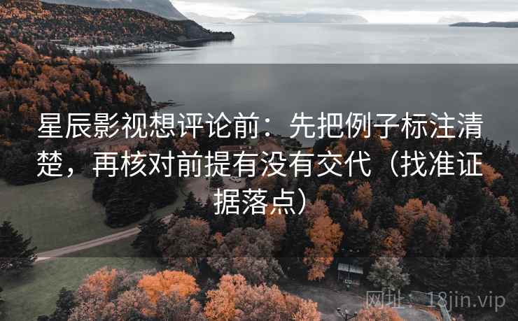 星辰影视想评论前：先把例子标注清楚，再核对前提有没有交代（找准证据落点）
